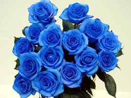 Vì sao hoa hồng xanh là biểu tượng của tình yêu bất diệt? 2